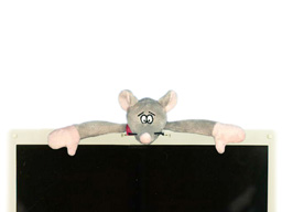 GS8069 - EE - Mouse - 08 (27cm) 