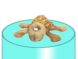 GS7468 - Tortoise (13cm) - w - magnet