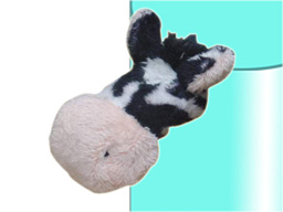 GS7386 - Zebra(6cm) - w - magnet