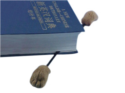 GS6894 (28cm) - book mark